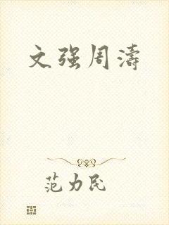 文强周涛