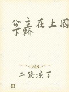 公主在上国师请下轿封面