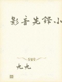影音先锋小说封面