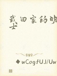 武田家的明国武士