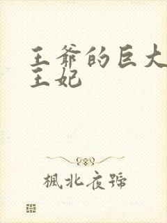 王爷的巨大进入王妃