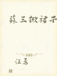 苏三掀裙子封面