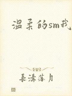 温柔的sm我