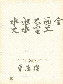 水泄不通金银原文水电工