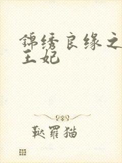 锦绣良缘之北地王妃封面