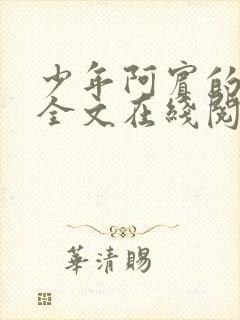 少年阿宾的故事全文在线阅读免费