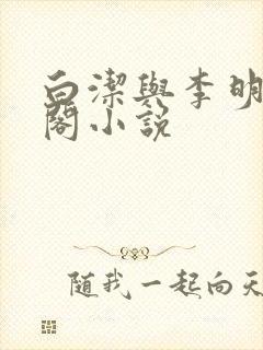 白洁与李明笔趣阁小说封面