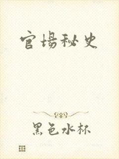官场秘史
