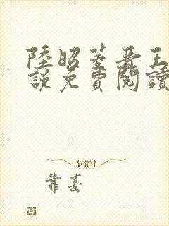 陆昭菱晋王的小说免费阅读