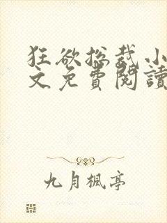 狂欲总裁小说全文免费阅读封面