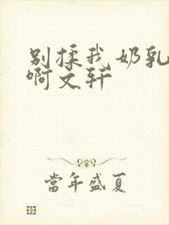 别揉我奶乳嗯～啊文轩封面