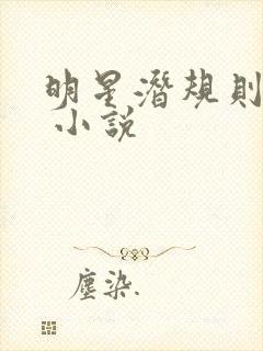 明星潜规则之皇 小说