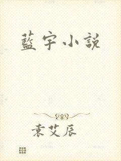 蓝宇小说