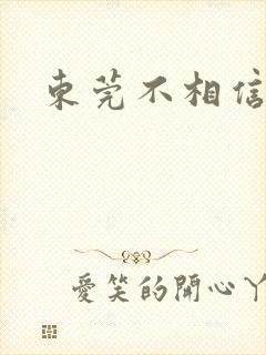 东莞不相信眼泪封面