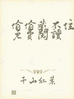 偷偷藏不住小说免费阅读