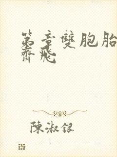 第章双胞胎姐妹齐飞