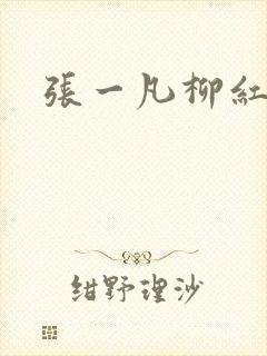 张一凡柳红封面