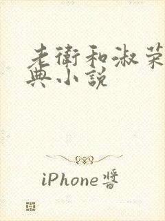 老卫和淑荣的经典小说