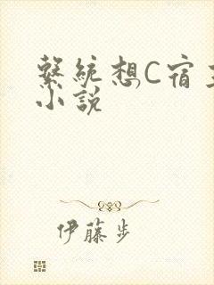 系统想C宿主的小说