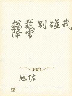 总裁别碰我 韩降雪