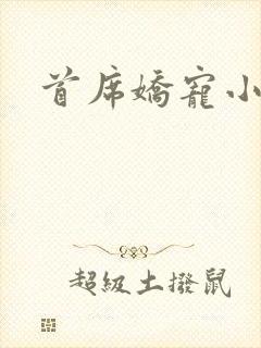 首席娇宠小情人封面