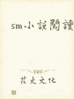 sm小说阅读