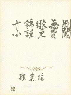 十锦缎无删原著小说免费阅读封面