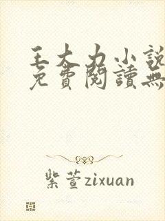 王大力小说小说免费阅读无弹窗