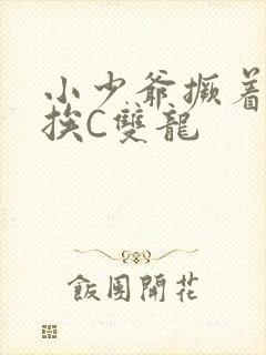 小少爷撅着屁股挨C双龙封面