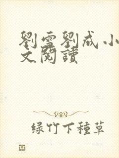 刘雪刘成小说全文阅读封面