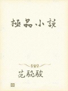 极品小说
