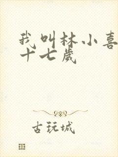 我叫林小喜今年十七岁
