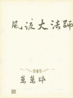 风流大法师封面