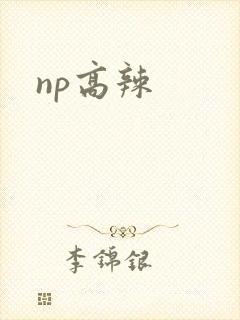 np高辣