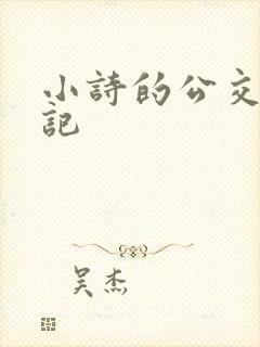 小诗的公交车日记