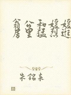 翁公和媛媛在厨房里猛烈进出