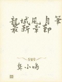 龙城风月笔趣阁最新章节