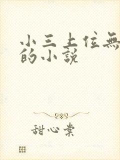 小三上位无三观的小说