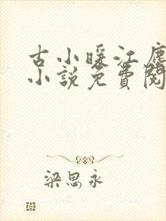 古小暖江尘御的小说免费阅读