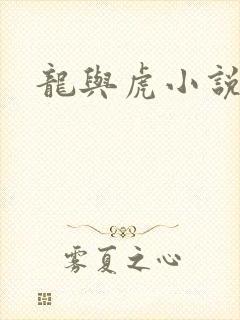 龙与虎小说