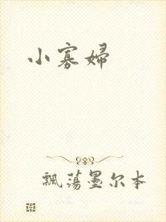 小寡妇封面