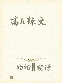 高h辣文