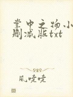 掌中之物小说未删减版txt