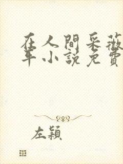 在人间采薇陆三平小说免费阅读封面