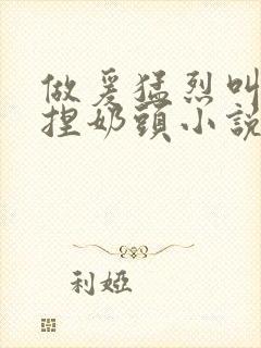 做爰猛烈叫床揉捏奶头小说封面