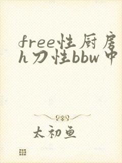 free性厨房h刀性bbw中国