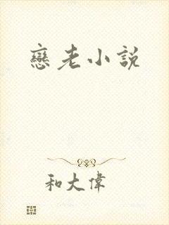 恋老小说