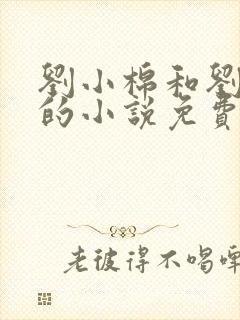 刘小棉和刘易文的小说免费阅读