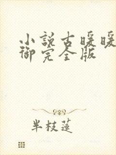 小说古暖暖江尘御完全版封面