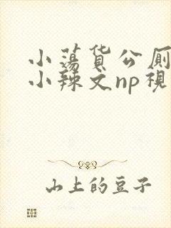 小荡货公厕h文小辣文np视频